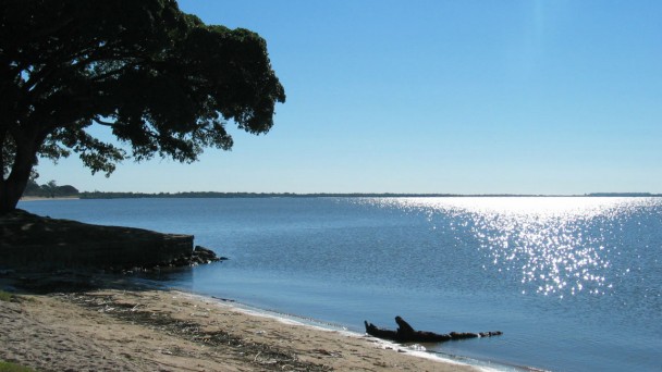Praia de de &aacute;gua doce de S&atilde;o Louren&ccedil;o do Sul, Rio Grande do Sul, com &aacute;rvore &agrave;s margens da Lagoa dos Patos